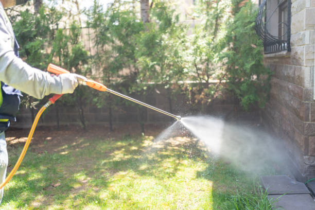 Best Organic or Eco-Friendly Pest Control  in San Marino, CA